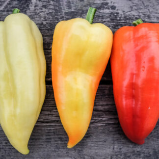 Paprika Ferenc Tender