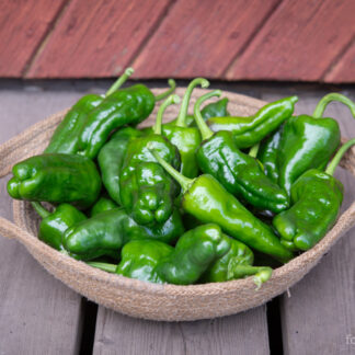 Paprika Padron