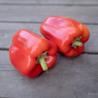 Paprika Albaregia