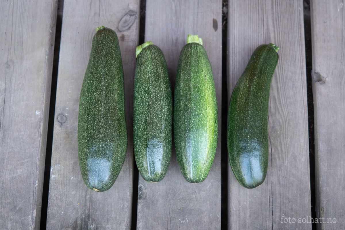 Squash Zuboda