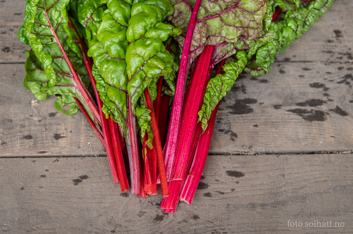 Mangold Rhubarb Chard