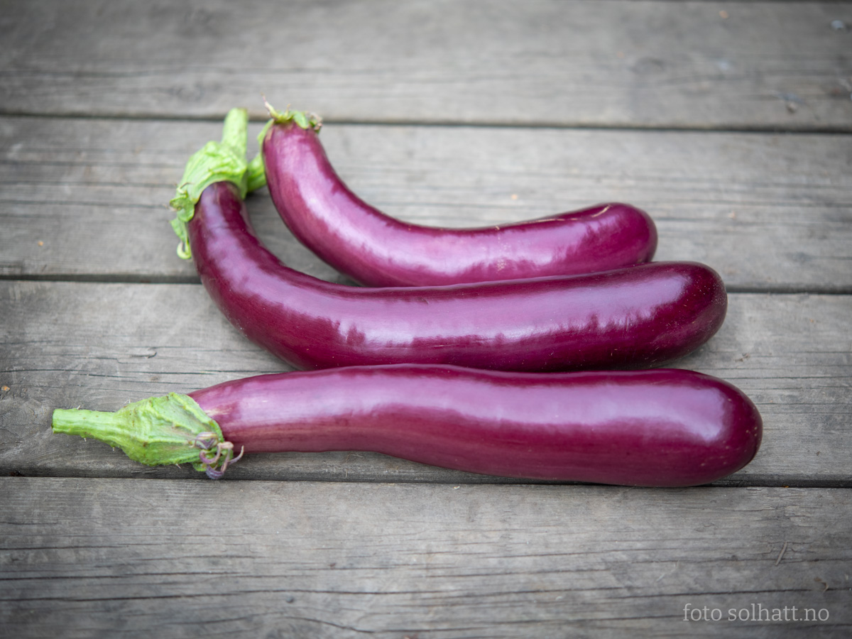 Aubergine De Barbentane