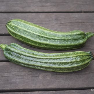 Squash Costates Romanesco