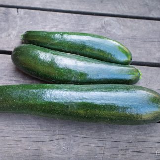 Squash Black Beauty