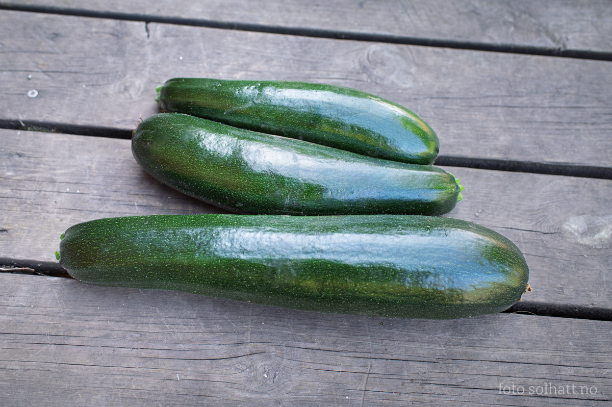Squash Black Beauty