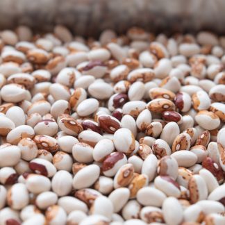 Stang-frøbønne Hidatsa Shield Bean