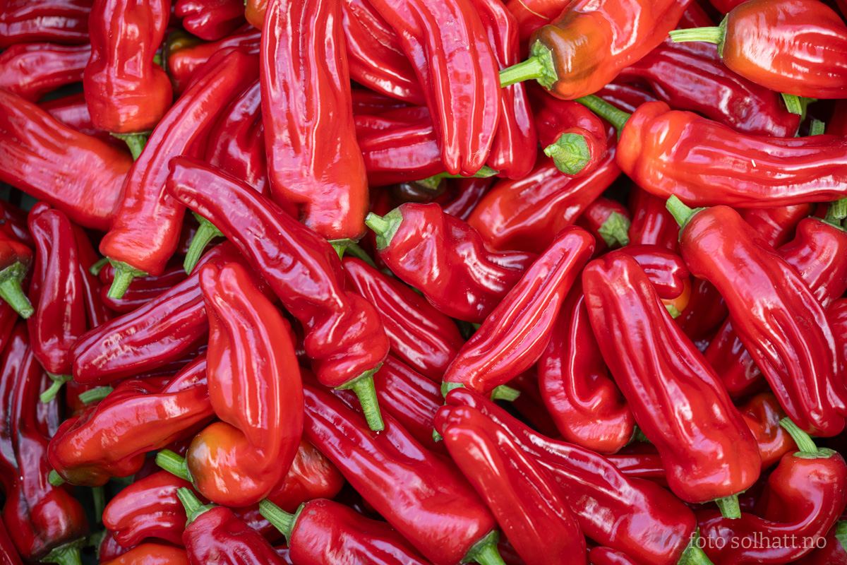 Paprika Frigitello