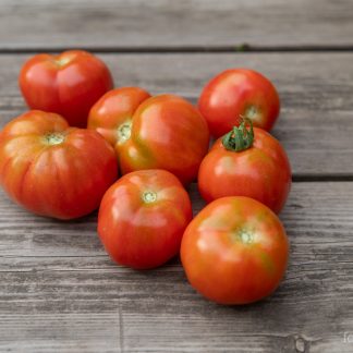 Frilandstomat Savitaipale